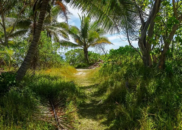 Moorea Bungalow Cosy Proche Plage De Temae